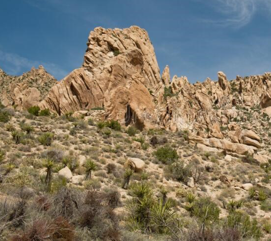 screenshot 2026 02 05 at 22 22 47 newberry mountains wilderness information guide public room ca newberrymountainswilderness.pdf