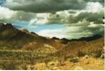 screenshot 2026 02 05 at 22 24 08 newberry mountains wilderness information guide public room ca newberrymountainswilderness.pdf