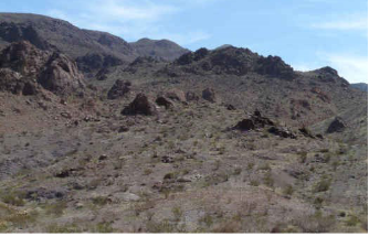 screenshot 2026 02 05 at 22 24 58 newberry mountains wilderness information guide public room ca newberrymountainswilderness.pdf